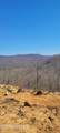 700 Acres Puncheon Creek Lane - Photo 15