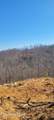 700 Acres Puncheon Creek Lane - Photo 17