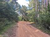 700 Acres Puncheon Creek Lane - Photo 36