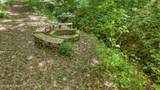 429 Trails End Rd - Photo 1