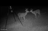 3500 Warrensburg Rd - Photo 15