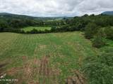 317 Singleton Hollow Rd - Photo 1