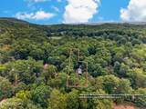 2330 Nichols Branch Way - Photo 4
