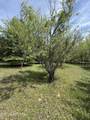 947 Old Grey Ridge Rd - Photo 50