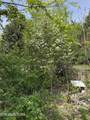 947 Old Grey Ridge Rd - Photo 54