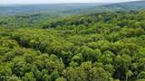 18.5 acres Raccoon Ridge Rd - Photo 19