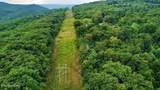18.5 acres Raccoon Ridge Rd - Photo 24