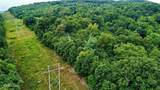 18.5 acres Raccoon Ridge Rd - Photo 25