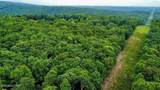 18.5 acres Raccoon Ridge Rd - Photo 26