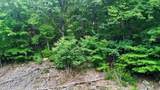 18.5 acres Raccoon Ridge Rd - Photo 31
