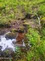 18.5 acres Raccoon Ridge Rd - Photo 32