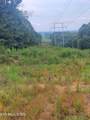 18.5 acres Raccoon Ridge Rd - Photo 34