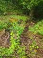 18.5 acres Raccoon Ridge Rd - Photo 35