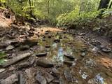 920 Left Poor Valley Rd - Photo 6