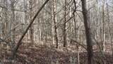 Lot 185 Meadow Lane - Photo 16