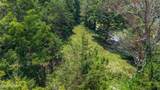 4850 Afton Rd - Photo 17