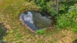 4850 Afton Rd - Photo 8