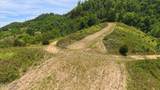 3796 Highway 25E S - Photo 34