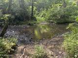 Lot #12 Burrville Rd - Photo 10