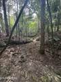 Lot #12 Burrville Rd - Photo 16