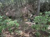 Lot #12 Burrville Rd - Photo 8