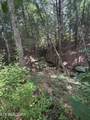 Lot #12 Burrville Rd - Photo 9