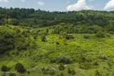 1430 Clinch Valley  (55.55 Acres) Rd - Photo 19