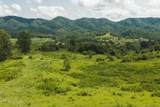 1430 Clinch Valley  (55.55 Acres) Rd - Photo 2
