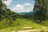 1430 Clinch Valley  (55.55 Acres) Rd - Photo 22
