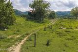 1430 Clinch Valley  (55.55 Acres) Rd - Photo 28