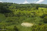 1430 Clinch Valley  (55.55 Acres) Rd - Photo 3