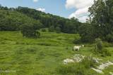 1430 Clinch Valley  (55.55 Acres) Rd - Photo 7