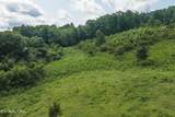1430 Clinch Valley  (55.55 Acres) Rd - Photo 9