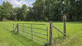 381 Grapevine Rd - Photo 19