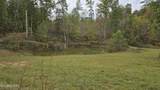 381 Grapevine Rd - Photo 3