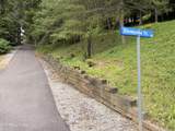 161 Slowpoke Tr - Photo 39