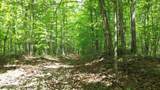  Peters Ford Rd - Photo 5