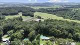 379 Clint Williams Rd - Photo 9