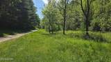 000 Dooley Hollow Rd - Photo 12