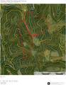 000 Dooley Hollow Rd - Photo 13