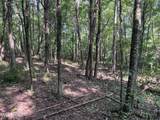 Lot 46 Old Mine Rd - Photo 5