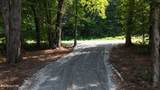 Lot 46 Old Mine Rd - Photo 8