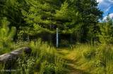 258 Buckner Rd - Photo 4