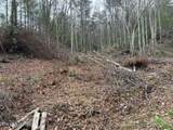  Coy Rhea Way - Photo 4