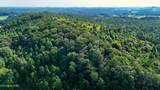 Lot 1 Moss Rd - Photo 41