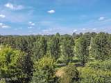 194 Doc Miller Rd - Photo 49