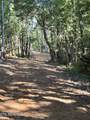  Shady Lane - Photo 3