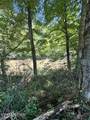 0 New River Rd - Photo 19