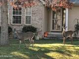11 Wilbourn Circle - Photo 32