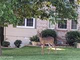 11 Wilbourn Circle - Photo 35